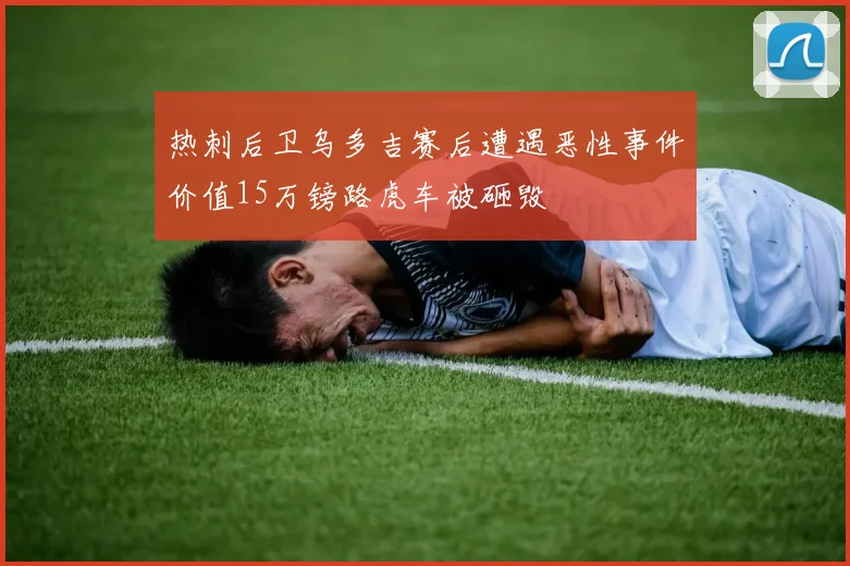 热刺后卫乌多吉赛后遭遇恶性事件价值15万镑路虎车被砸毁
